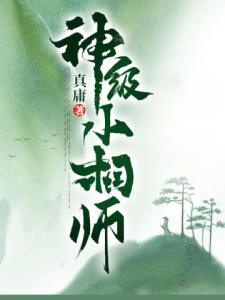 神级小相师