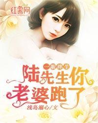 一眼终生：陆先生，你老婆跑了